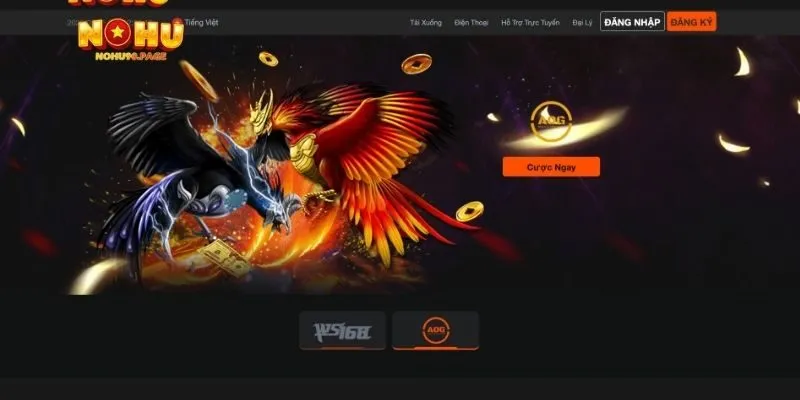 Tại sao đá gà tại Nohu90 thu hút cược thủ?